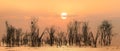 Landscape scenery of silhouette dead tree forest in lake with sunset sky at lake nakuru national park Kenya Royalty Free Stock Photo