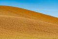 landscape scenes in palouse washington Royalty Free Stock Photo