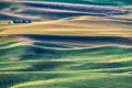 landscape scenes in palouse washington Royalty Free Stock Photo