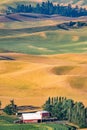 landscape scenes in palouse washington Royalty Free Stock Photo