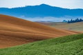 landscape scenes in palouse washington Royalty Free Stock Photo