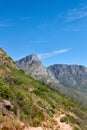 Landscape, scenic and copyspace view of plants, greenery and bushes on a mountain against a clear blue sky. Beautiful