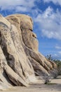 Landscape with scenic jumbo rock in the Joshua tree national park Royalty Free Stock Photo