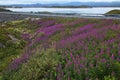 Landscape on the scenic route Atlanterhavsvegen in Norway Royalty Free Stock Photo