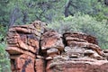 Landscape scenic view of Bell Trail, No. 13 at Wet Beaver Wilderness, Coconino National Forest, Arizona, United States