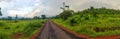 Landscape scenic view of the grass fields at konkan. Royalty Free Stock Photo