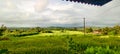 Landscape scenic view of the grass fields at konkan. Royalty Free Stock Photo