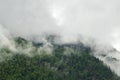 Landscape scenic view of green pine forest high mountain in low