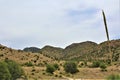 Mount Lemmon, Santa Catalina Mountains, Coronado National Forest, Tucson, Arizona, United States Royalty Free Stock Photo