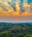 Scenic view of Sunrise in Forest Royalty Free Stock Photo