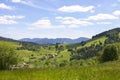 Landscape of Schwarzwald, green summer mountains. Royalty Free Stock Photo