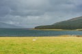 Landscape Scotland skye island Royalty Free Stock Photo
