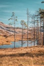 Landscape of Scottish Highlands at Autumn