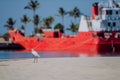 Landscape of sea bird, palm trees and big red boat.