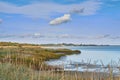 Landscape of sea, lake or coast against sky background with clouds and copy space. Swamp with reeds and wild grass