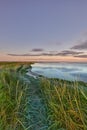 Landscape of sea, lake or lagoon against sunset sky background with copy space. Gulf with reeds and wild grass growing Royalty Free Stock Photo