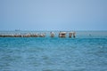 Landscape of sea, seagulls on a concrete Breakwater. Black Sea, Poti