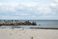 Landscape with seagulls,  sea view with breakwaters,  waves and sea shells,  clouds,  photographed in Gura Portitei,  Romania,  in Royalty Free Stock Photo