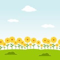 Landscape seamless background. Garden seamless background. Sunflower garden background. Flower landscape background. Clear day lan