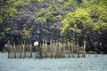 Landscape seascape and raise marine fish farm in bamboo cage of thai fisher people and local fishery in sea ocean of Mu Ko Petra