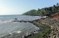 Landscape of seaside with coconut trees