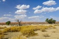 Kalahari Transfrontier Park