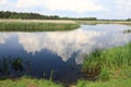 Landscape of Seliger Lake Estuary