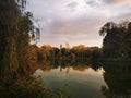 Landscape, Seminary Park, Savigny sur Orge