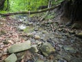 Landscape with shallow mountain creek in forest, wet stones in river bed and abstract clear moving water, beautiful nature Royalty Free Stock Photo