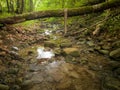 Landscape with shallow mountain creek in forest, wet stones in river bed and abstract clear moving water, beautiful nature Royalty Free Stock Photo