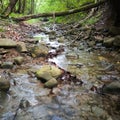 Landscape with shallow mountain creek in forest, wet stones in river bed and abstract clear moving water, beautiful nature Royalty Free Stock Photo