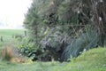 Hills, Meadows, and bush on a New Zealand Sheep Farm Royalty Free Stock Photo