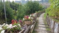 Landscape shoot of lembang garden in indonesia