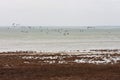 Landscape with shore of salt lake