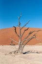 Barren landscape near Deadvlei and sossusvlei