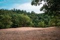 Landscape shot of the middle of Provin Trails in Grand Rapids Michigan Royalty Free Stock Photo