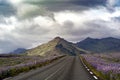 Landscape shot of a road in a lavender field leading to hills