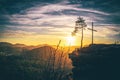 Four castles view, RÃÂ¶tzenfels, a sandstone rock with a cross and a tree. Sunrise, fog, Palatinate Forest, Germany. landscape shot Royalty Free Stock Photo