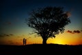 Landscape shot of a tree in a field with two people standing near it in silhouette during sunset Royalty Free Stock Photo