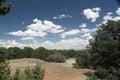 Landscape with shrubs blue sky and cloud with a view of the high desert from Tijeras