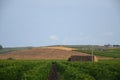 Landscape in Sicily, Menfi Ag Royalty Free Stock Photo