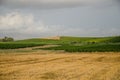 Landscape in Sicily, Menfi Ag Royalty Free Stock Photo