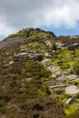 Landscape of the side of Bennachie, Scotland