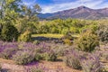 Landscape of the sierra de guadarrama in spring. madrid Spain Royalty Free Stock Photo