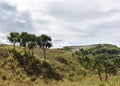 The landscape of Sigatoka Sand Dunes Royalty Free Stock Photo