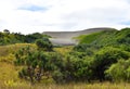 The landscape of Sigatoka Sand Dunes Royalty Free Stock Photo