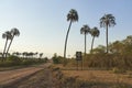 Landscape and sign with a fox symbol and a text: Slow down. Wildlife crossing