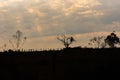 Landscape and silhouette of an evening end in the countryside 01