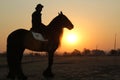 Landscape silhouette photo of a horseman on a horse with sunset. Royalty Free Stock Photo