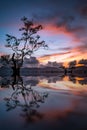 Landscape with Silhouette single tree reflection